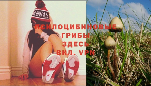амф Беломорск