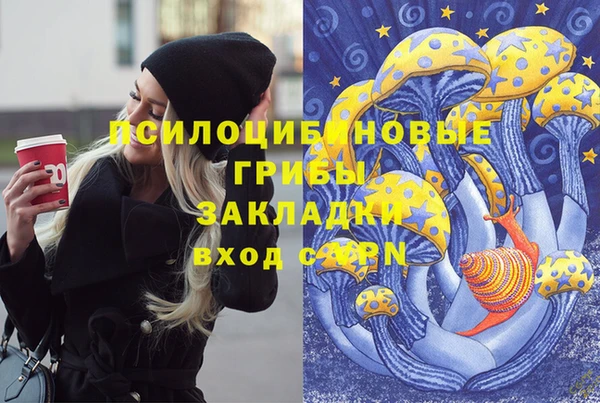 мет Белокуриха