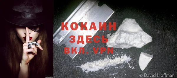мет Белокуриха