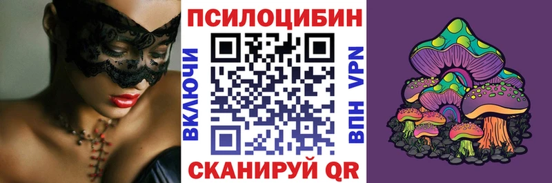 блэк спрут ONION  как найти закладки  Гремячинск  Галлюциногенные грибы прущие грибы 